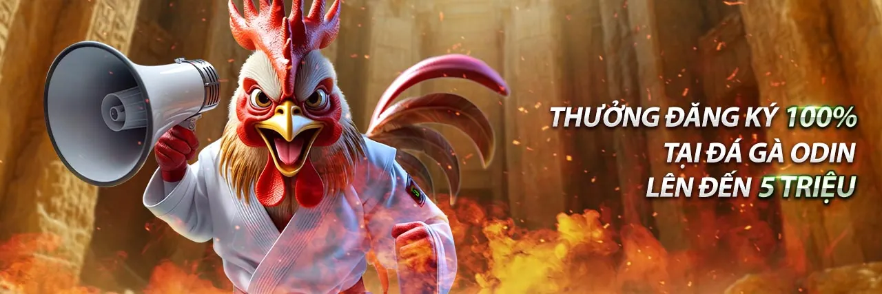 Hỗ trợ marketing chuyên nghiệp từ f1686